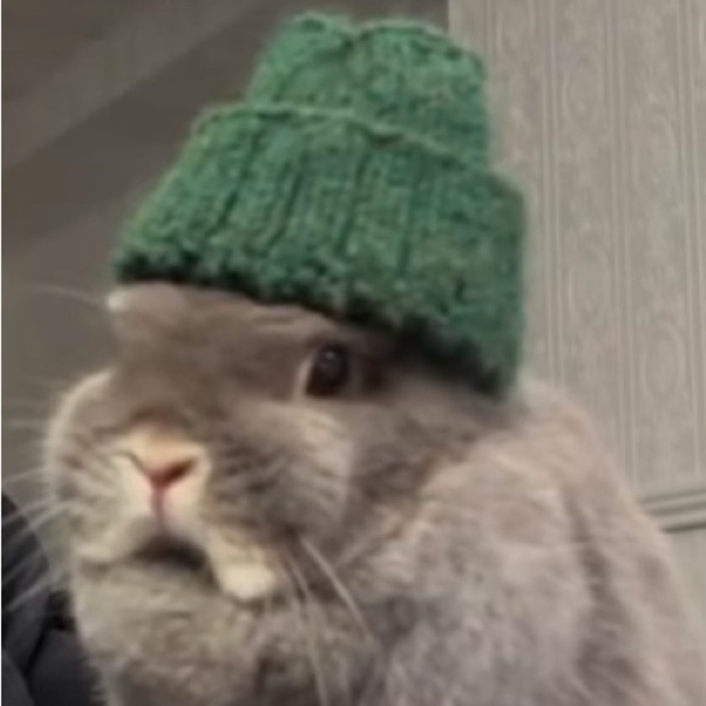 Meet your Posher, Jackson